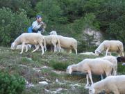thumbs/Adri_092_070725.jpg.jpg